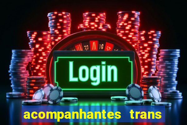 acompanhantes trans baixada fluminense